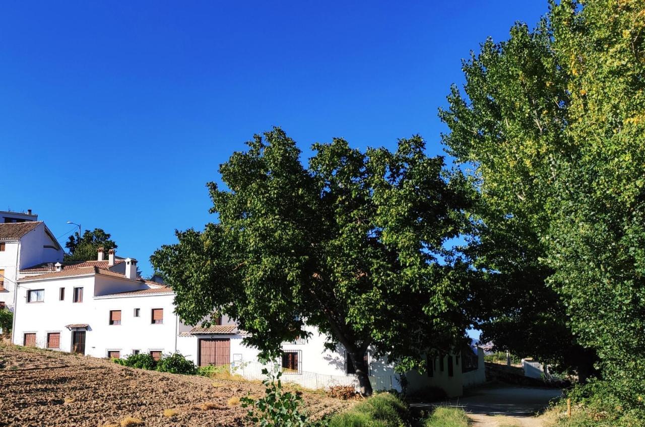 Complejo Apartamentos Rurales Molino De Abajo Ribera Baja  エクステリア 写真