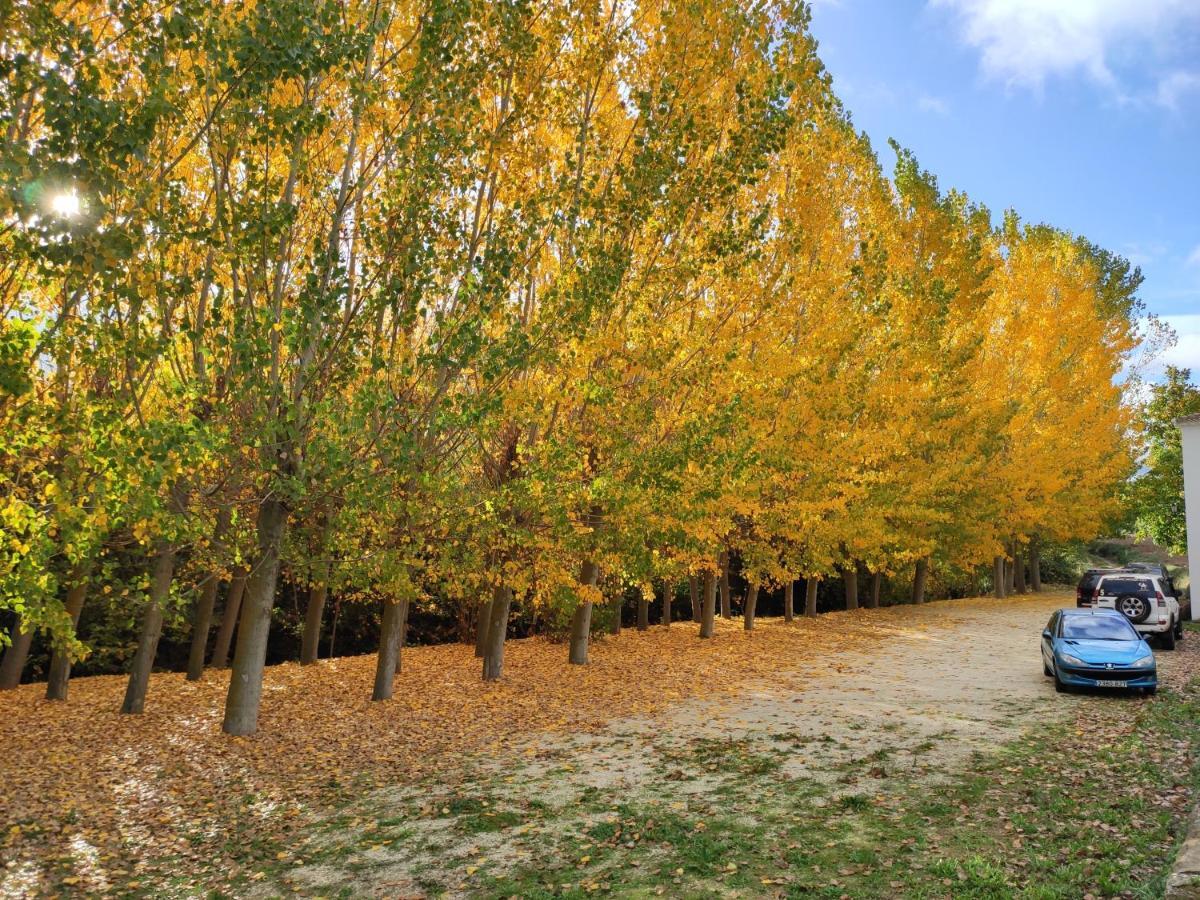 Complejo Apartamentos Rurales Molino De Abajo Ribera Baja  エクステリア 写真