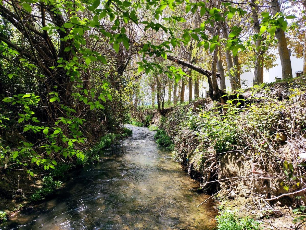 Complejo Apartamentos Rurales Molino De Abajo Ribera Baja  エクステリア 写真